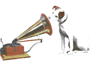 A beautiful dog and his beautiful radio